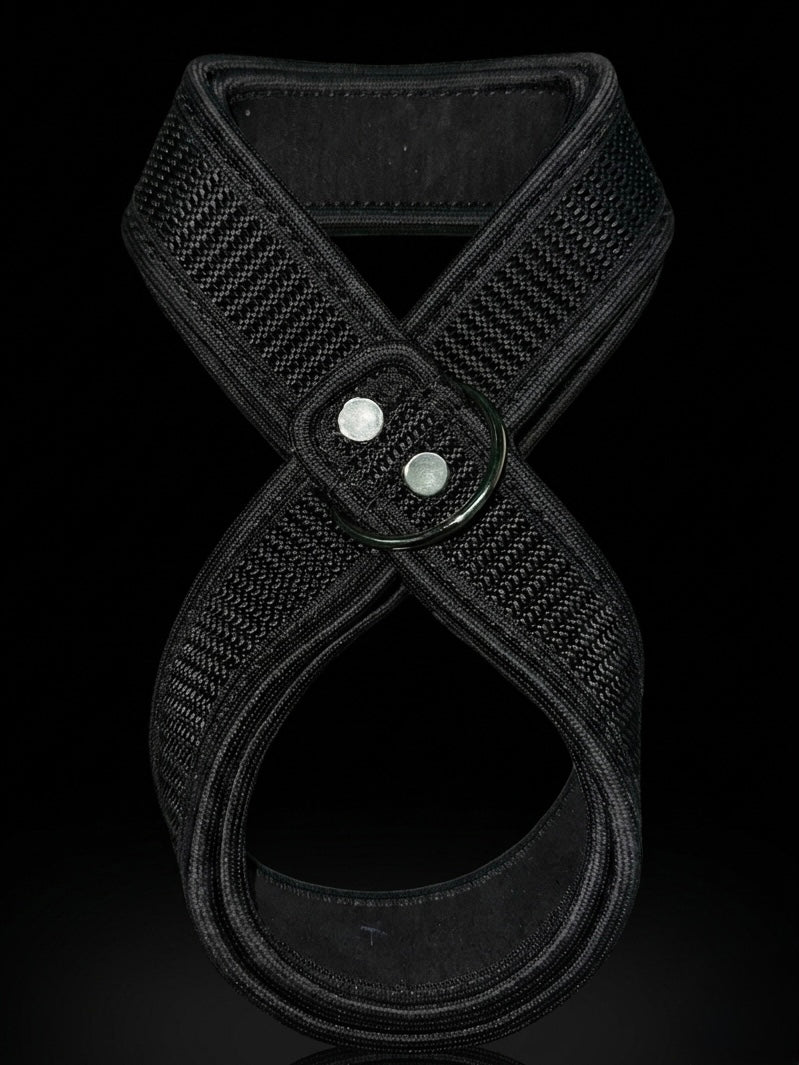 Shadad 8 with ring